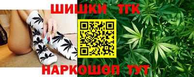 СК Тула
